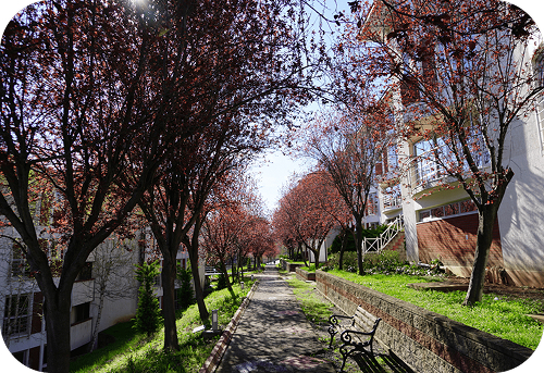 İç Mimarlık ve Çevre Tasarımı 