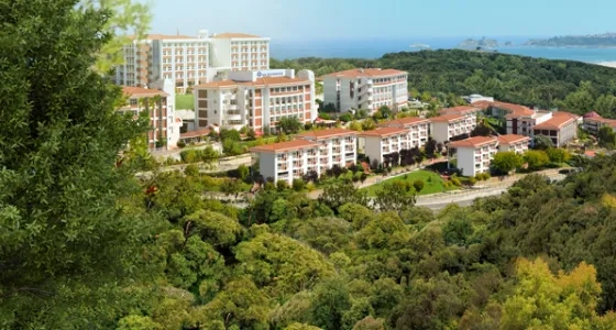 SES Lab Veri Raporu Banner