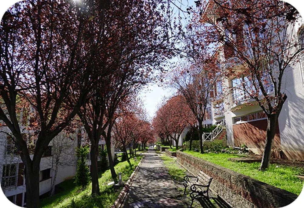 Işık Üniversitesi İç Mimarlık ve Çevre Tasarımı Bölümü öğrencilerinin tasarım atölyesindeki çizim ve maket çalışması. Işık Üniversitesi İç Mimarlık ve Çevre Tasarımı Bölümü öğrencilerinin tasarım atölyesindeki çizim ve maket çalışması.